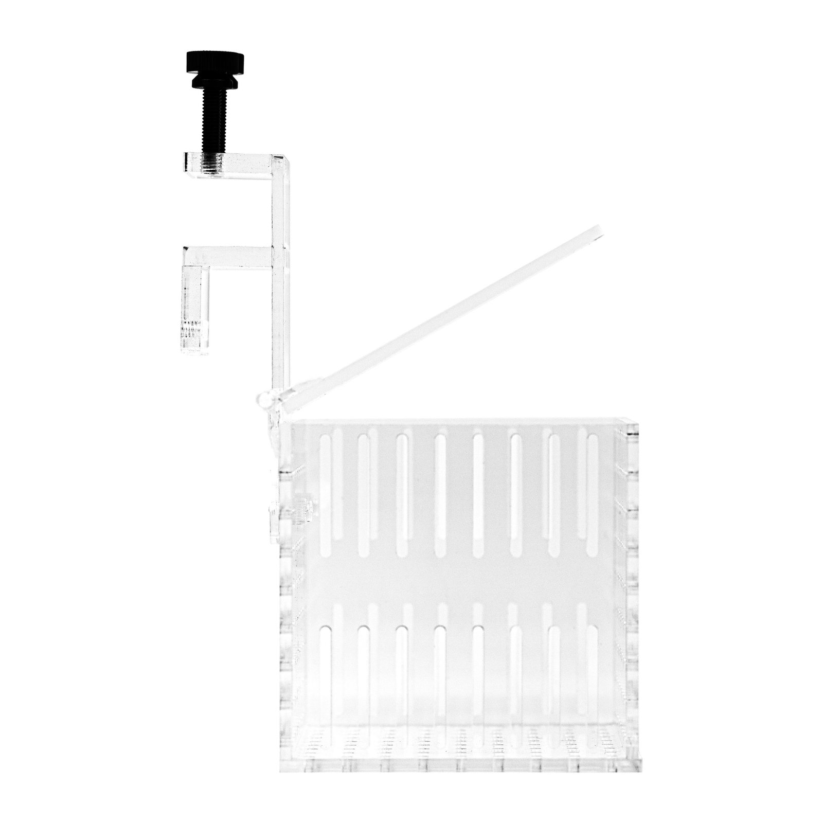 Caja de aclimatación 1 compartimento - Image 2