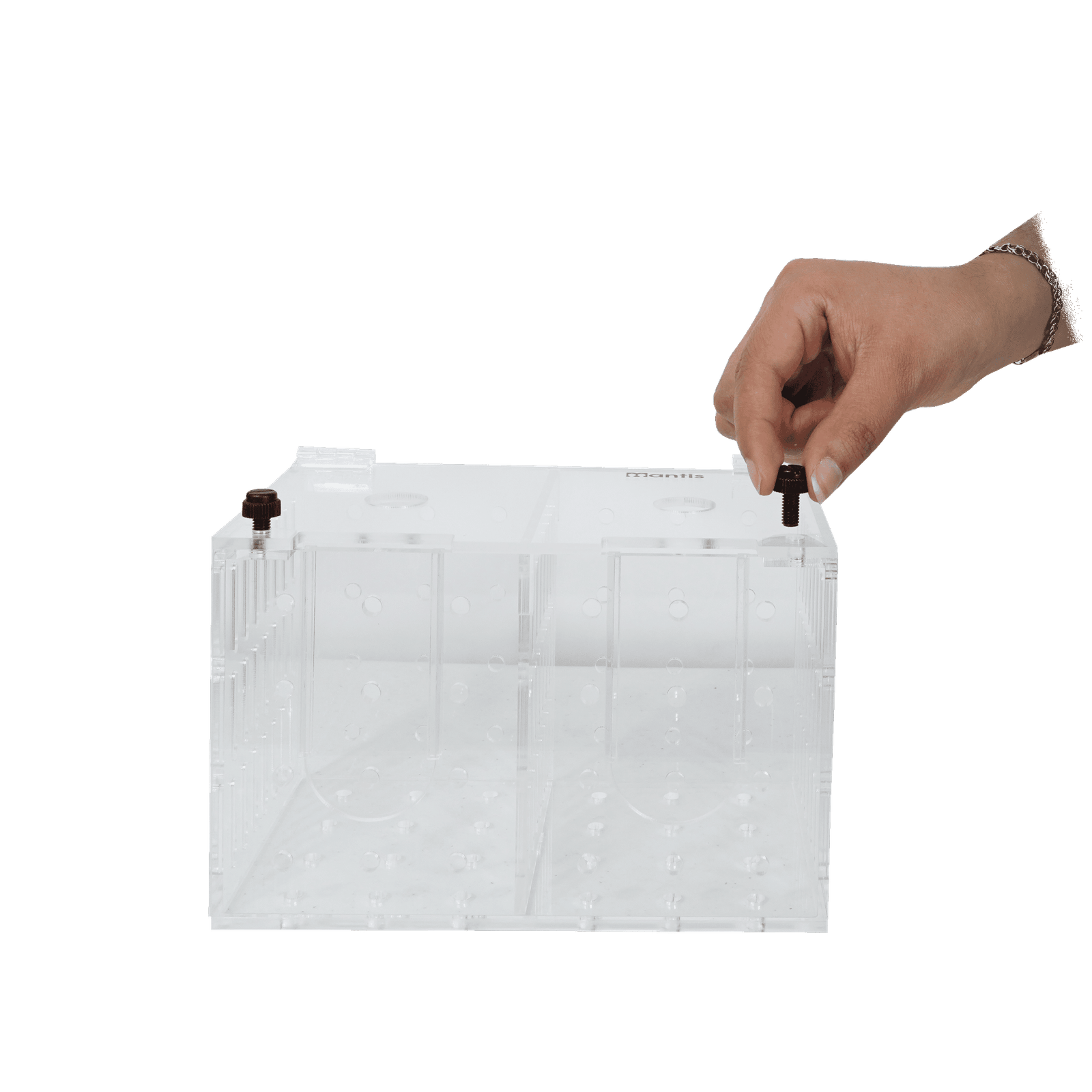 Caja de aclimatación con 2 compartimentos - Image 4