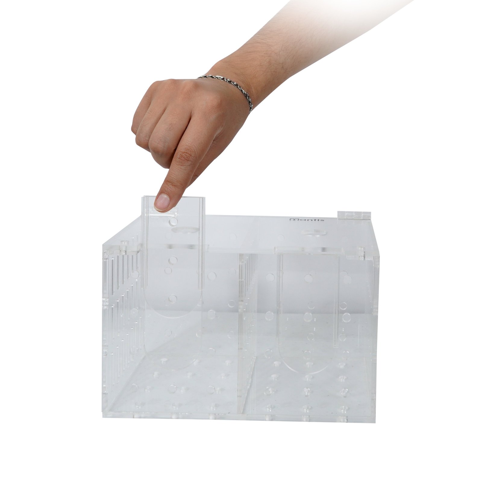 Caja de aclimatación con 2 compartimentos - Image 5