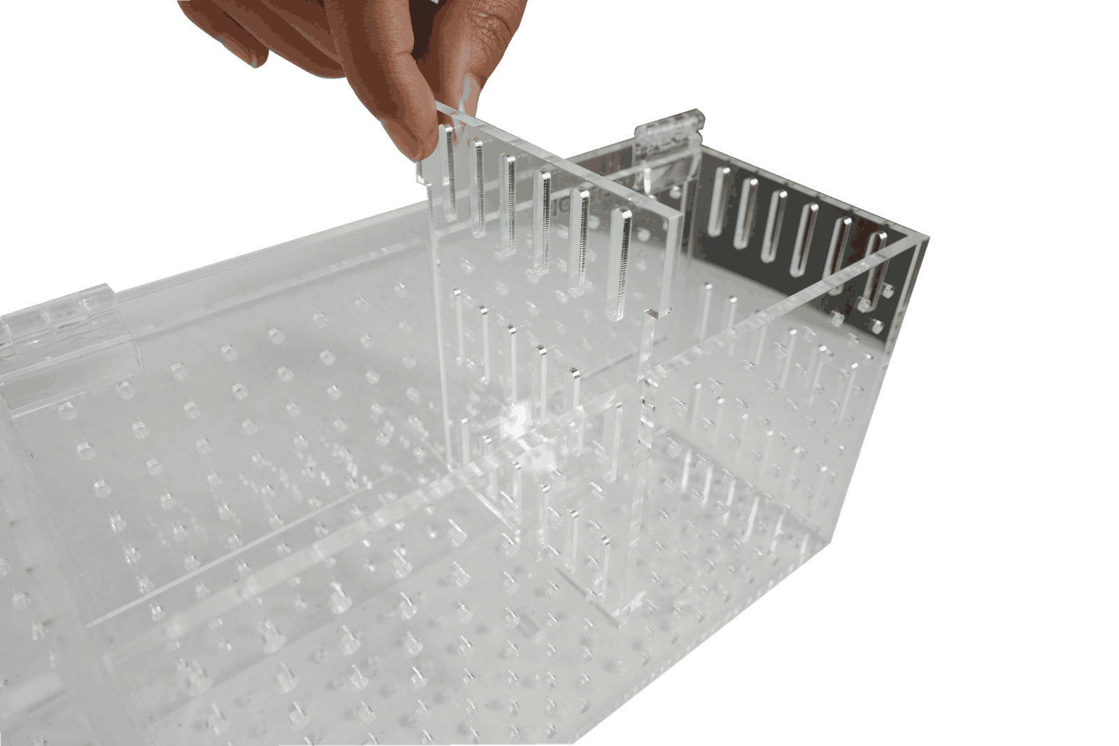 Caja de aclimatación con 4 compartimentos - Image 2