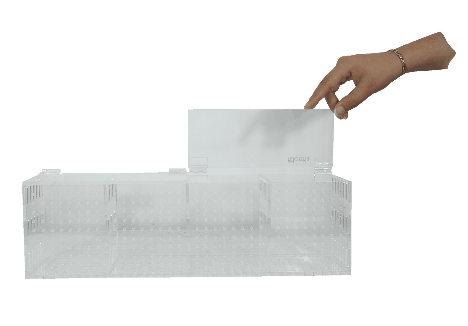 Caja de aclimatación con 4 compartimentos - Image 3