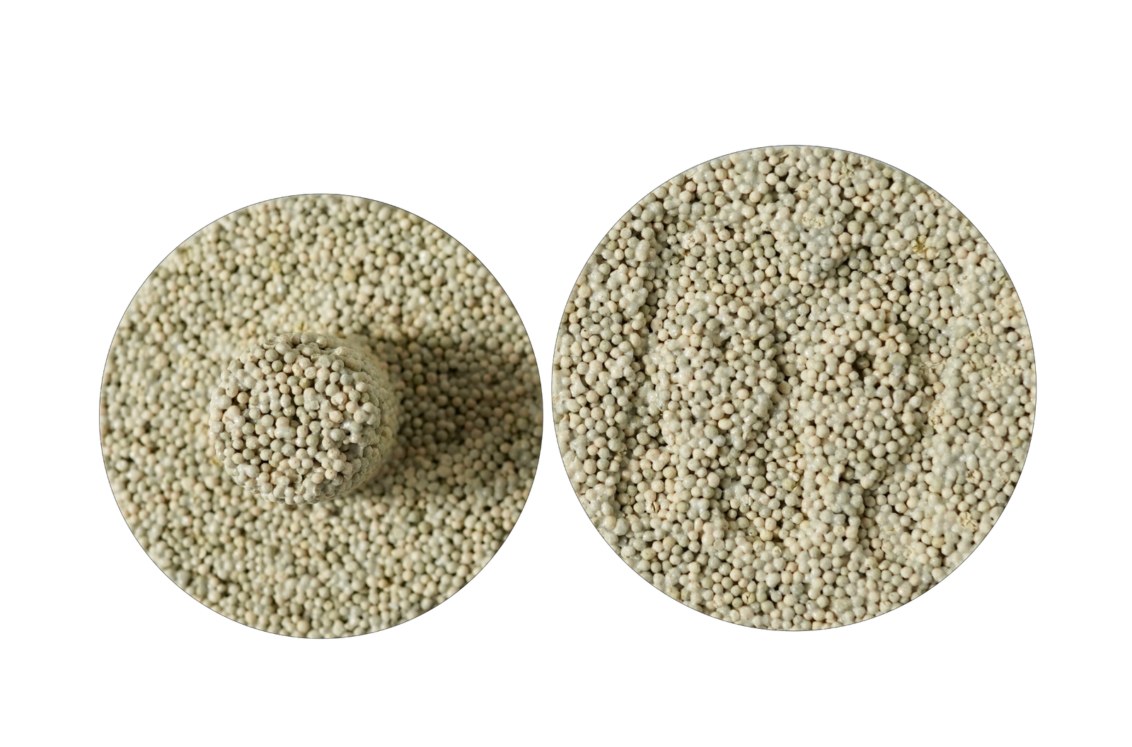 Coral Ceramic Frag - 3cm ancho x 2cm de alto - Image 3